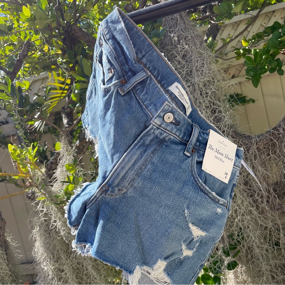 NWT Abercrombie and Fitch Mom Denim Shorts